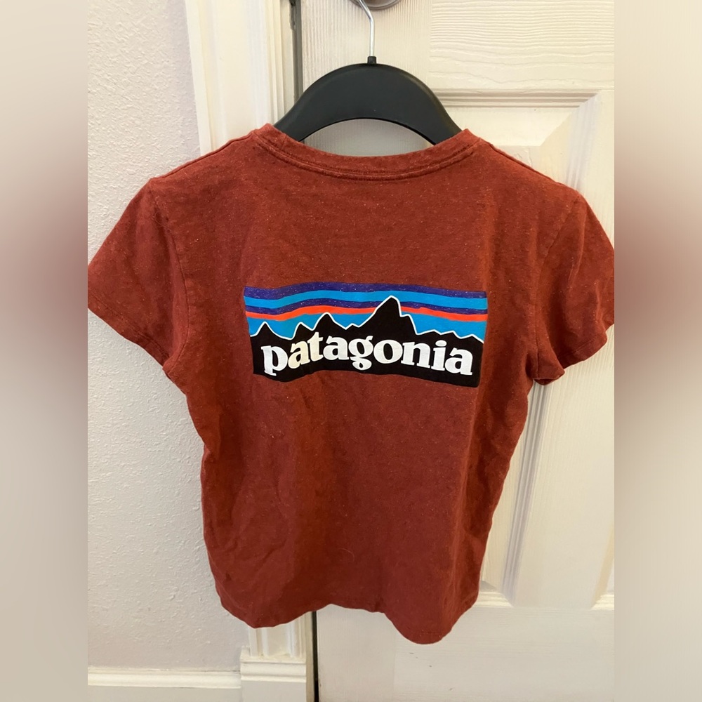 Patagonia Rust Colored Recycled Tshirt S